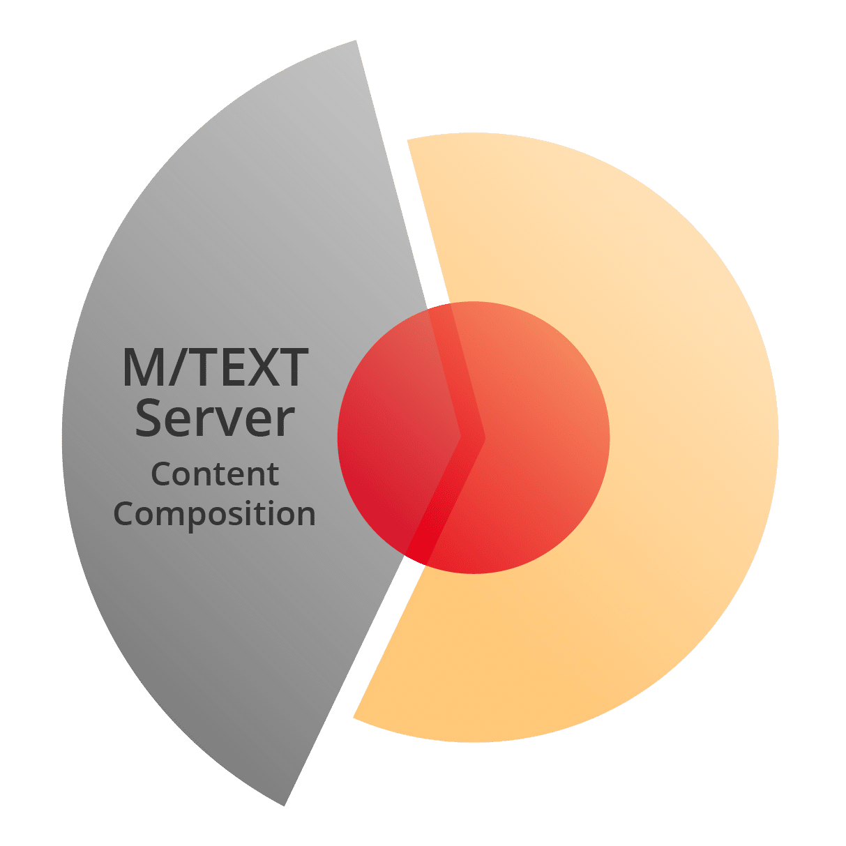 Product graphic: M/TEXT